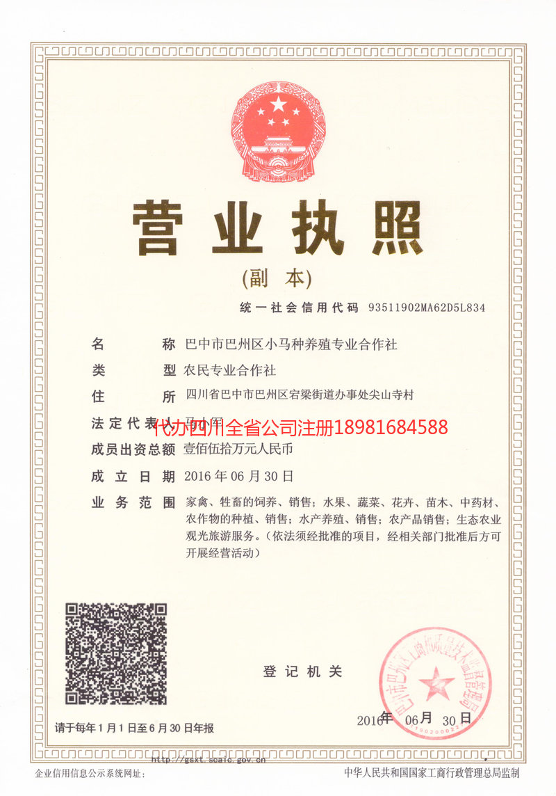 合肥合肥小马种养殖专业合作社